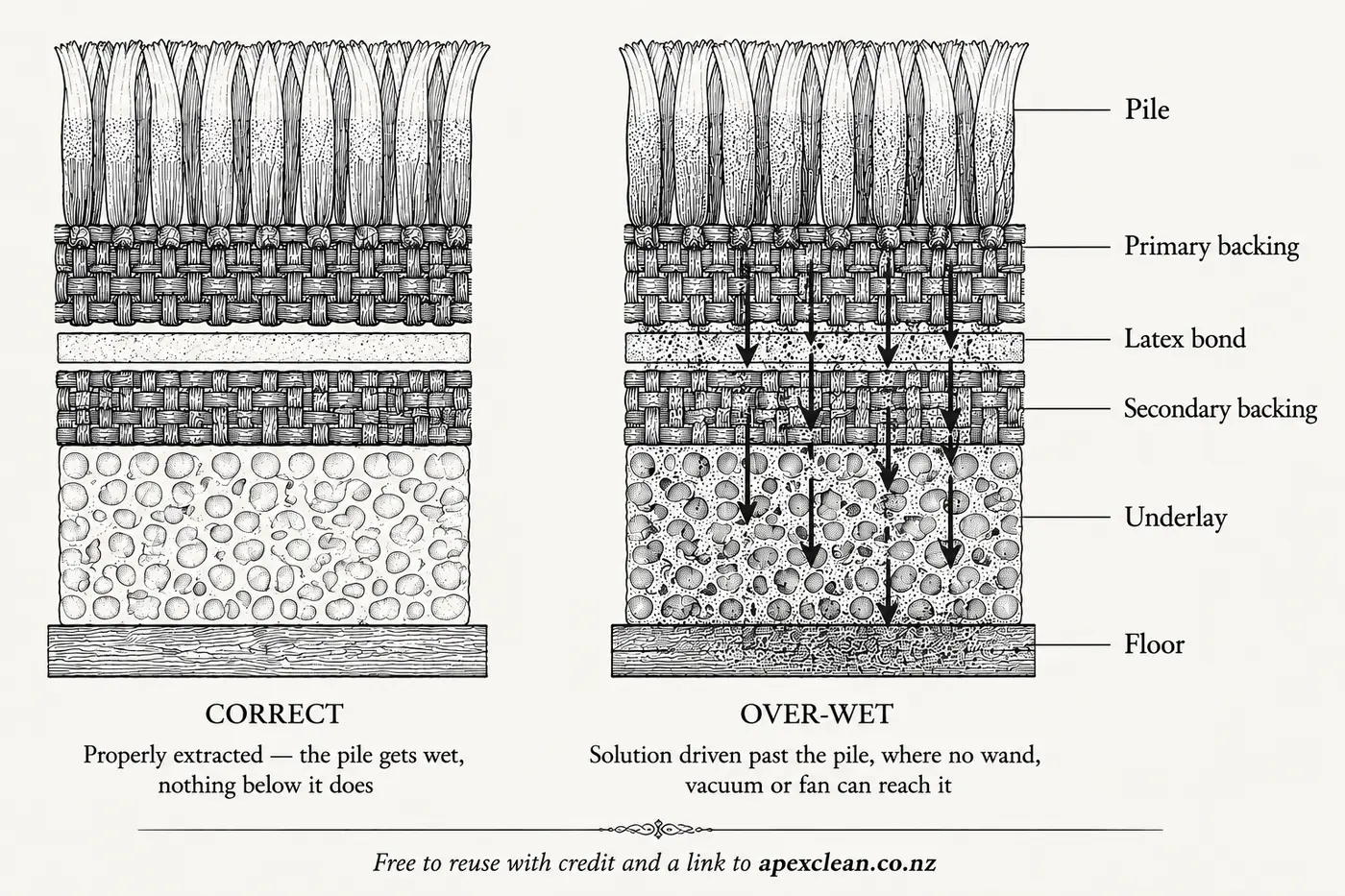 Engraved cross-section diagram comparing two carpets. Left, labelled CORRECT: moisture stippling appears only in the upper pile yarns, while the primary backing, latex bond, secondary backing, underlay and floor beneath are clean and dry. Right, labelled OVER-WET: the same stippling saturates the pile and continues downward through every layer into the underlay, with arrows showing solution being forced past the pile.