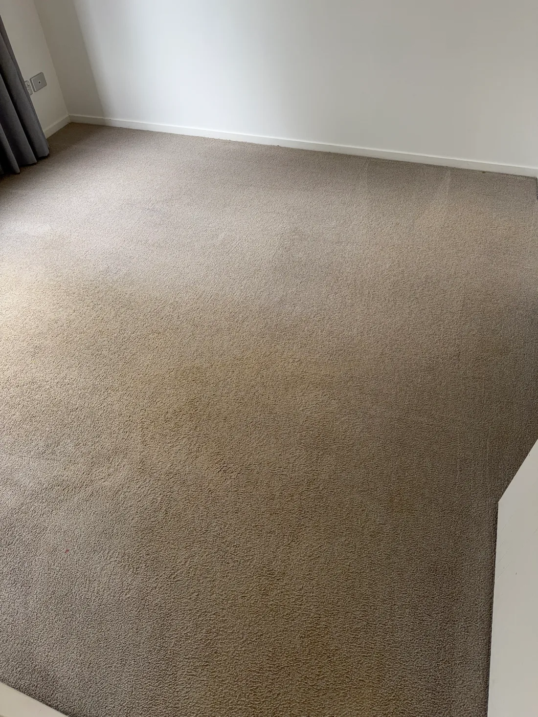 Finished carpet in the Henderson house after cleaning and extraction