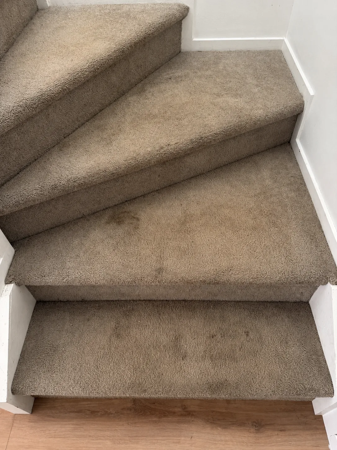 Stairs in the Henderson house before cleaning, with traffic soil and marks across the treads