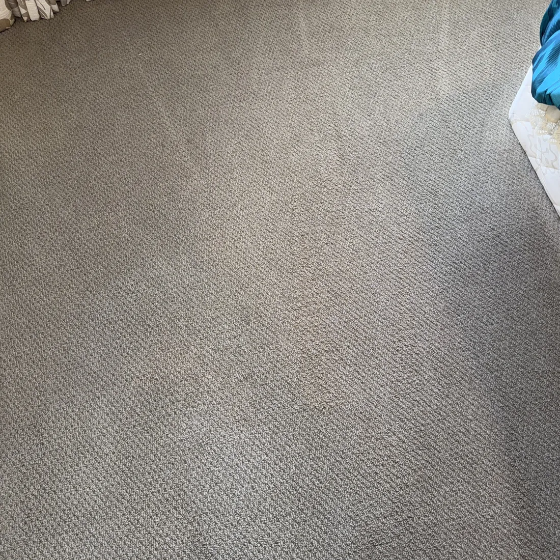 The same close view of the wool carpet after treatment, the pile clean with no remaining discolouration